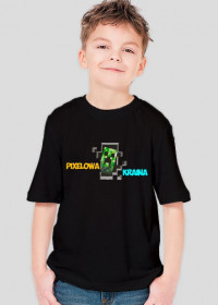 Koszulka "Pixelowa Kraina" Czarna (Męska) (Dziecięca)