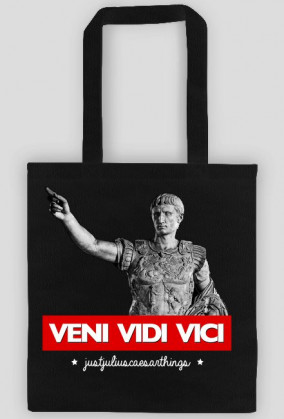 VENI VIDI VICI - justjuliuscaesarthings