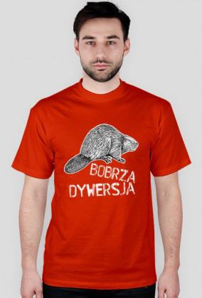 Bobrza Dywersja | różne kolory