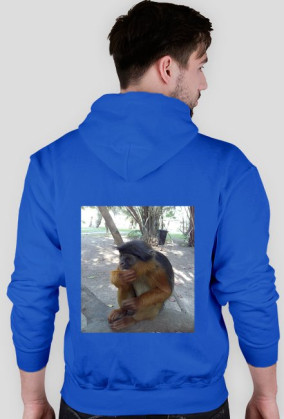 BLUZA