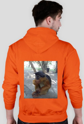 BLUZA