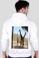 BLUZA