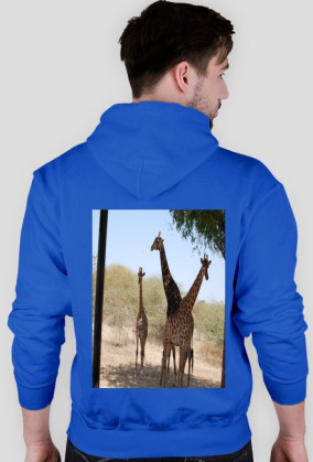 BLUZA