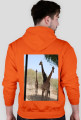 BLUZA