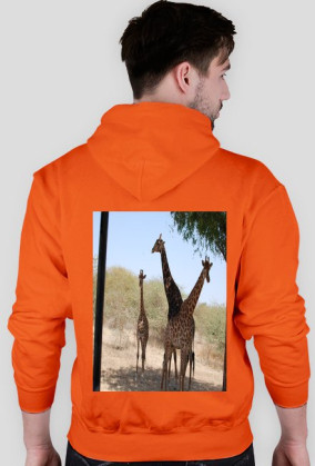 BLUZA
