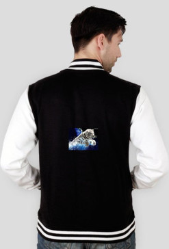 bluza