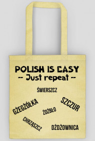 POLISH IS EASY