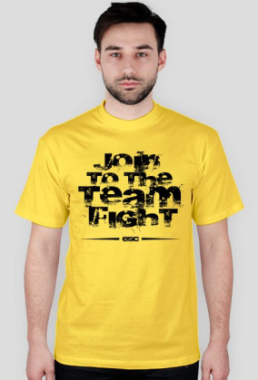 Team Fight