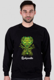 KRECIK na BAKANALIACH!