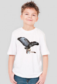 orzeł(chłopiec) biała