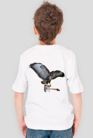 orzeł(chłopiec) biała