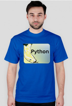 Koszulka Python [programista]