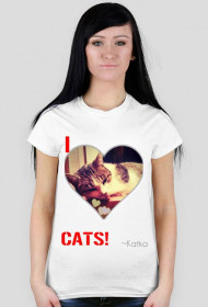 I love CATS! (2)
