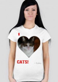 I love CATS! (3)