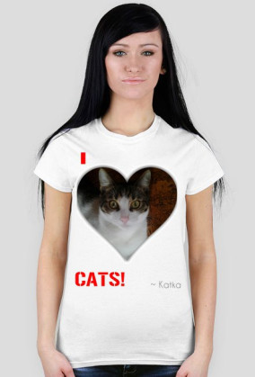 I love CATS! (3)