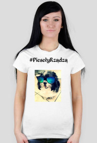 #PiesełyRządzą dla dorosłych :)