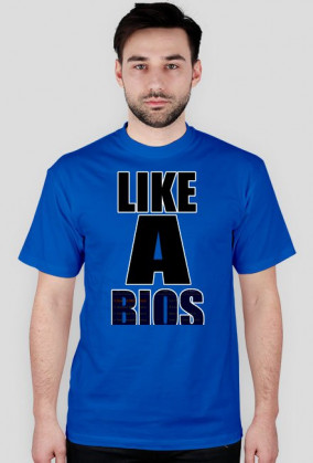 Like a BIOS
