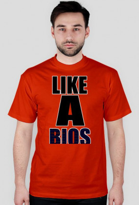 Like a BIOS