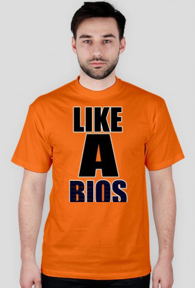 Like a BIOS
