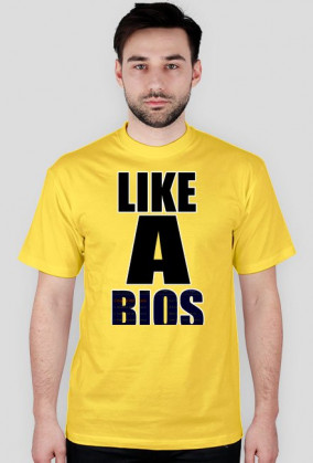 Like a BIOS