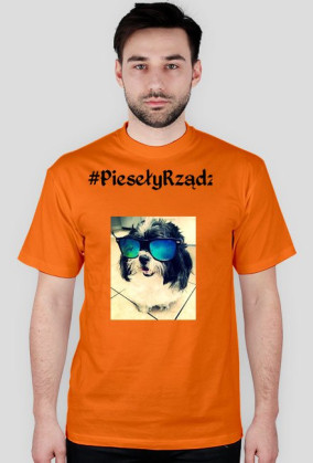 #PiesełyRządzą dla dorosłych :)