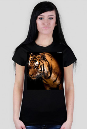 Tygrys#2