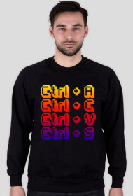 CTRL+ACVS Bluza