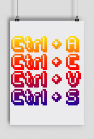 CTRL+ACVS Plakat