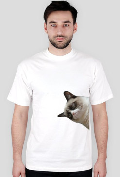 GRUMPY CAT