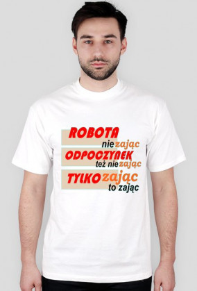 Robota nie zajac