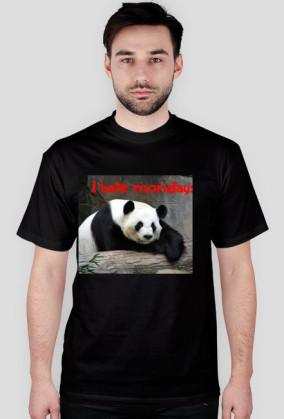 PandaMondayMan