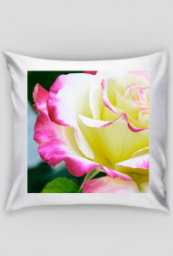 ROSEPILLOW
