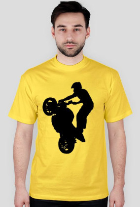 Stunt