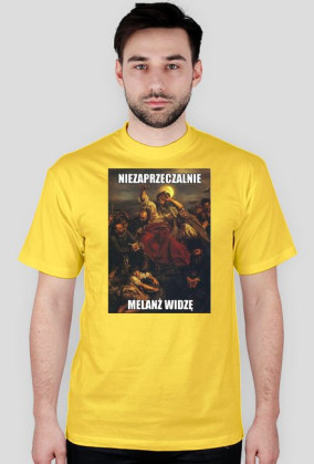 KOSZULKA MELANŻ WIDZE