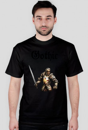 Gothic paladyn