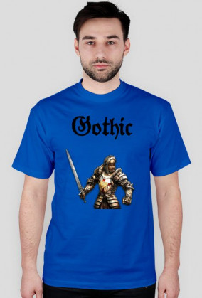 Gothic paladyn