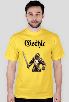 Gothic paladyn