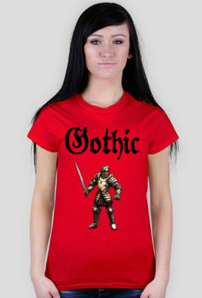 Gothic paladyn
