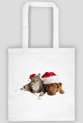 Kotek i piesek - torba eko