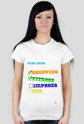 Plan dnia