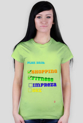 Plan dnia