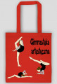 Gimnastyka artystyczna