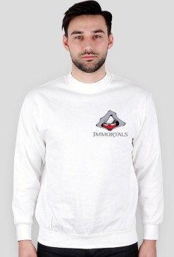 Bluza