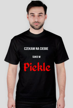 CzekamNaCiebieSukoWPiekle