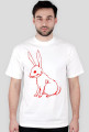 Red Bunny