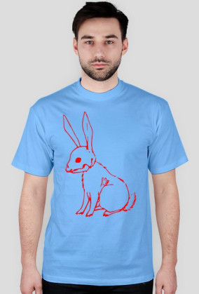 Red Bunny