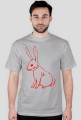 Red Bunny