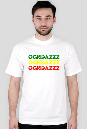 OGR - RASTA