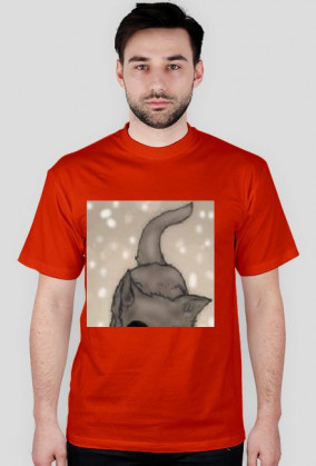 Kotek-Koszulka Męska