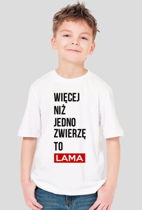 Więcej niż ... (Mali Faceci)